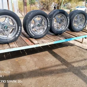 Vils diska Roadx balon