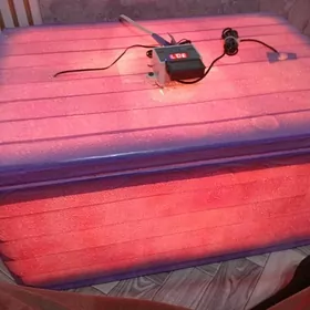 60 юмуртгалик енкибатор