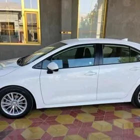 Toyota Corolla 2019