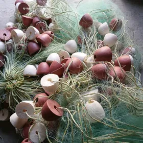 baraban krutilka tor