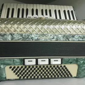 Akordion woltmestr Germaniya