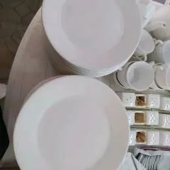 posudalar gyssagly