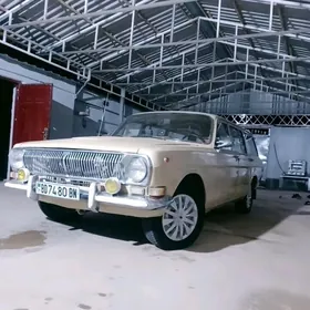 Gaz 24 1980