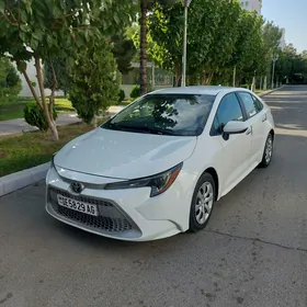 Toyota Corolla 2020