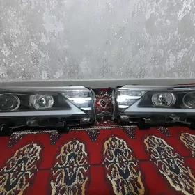 2016 haliji korolla faralary