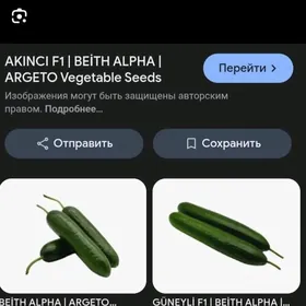 tepliçny hyýar näheli(kubikda)