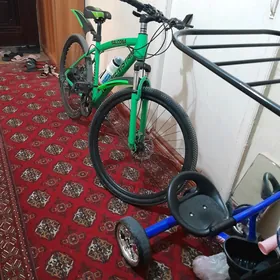 Turkmenistan tigir