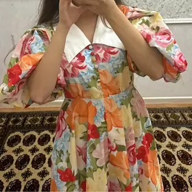 Tayyn koynek