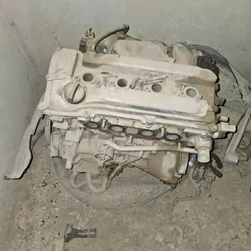 Diwigatel