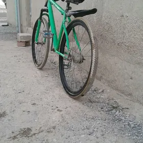 Turkmenistan tigir