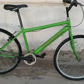 tigir Turkmenistan