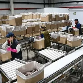 Zawoda gaplayjy oglan