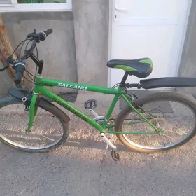 tigir gyssagly uly salkano 26l