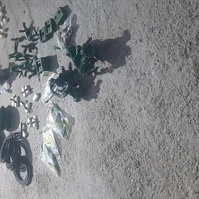 Eýran pires gyrgyza goýmana za