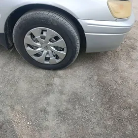 satlyk pakryşga