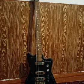 Gitara  BAS GITARA  electro
