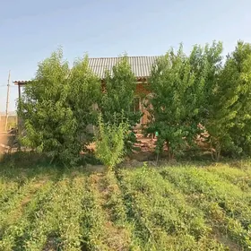 satlyk jay Denizhan sahercesi