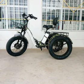 tokly tigir 3 ayakly