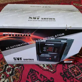 tok kopeldyan pitbul