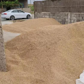 arpa tirtikal perko garlan