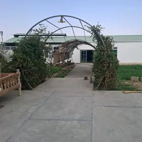 Full howly jaỳ  Gökdepe