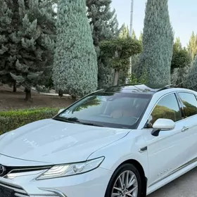 Toyota Camry 2023