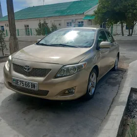 Toyota Corolla 2010