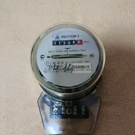 Счётчик Вектор-1