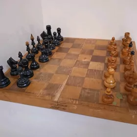 Шахматы
