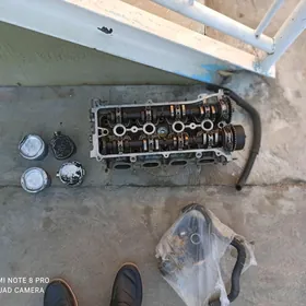 öküz kelle zapças