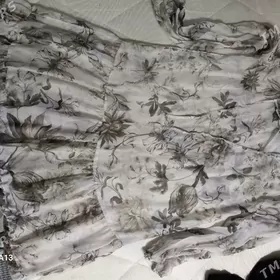 гейилен койнеклер