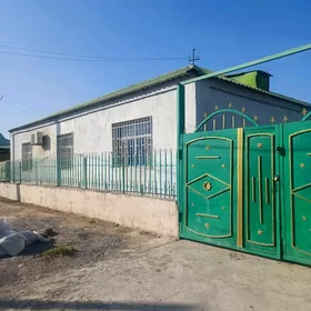 Bagyr yasayys toplumi