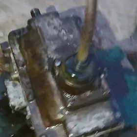 karoka zil