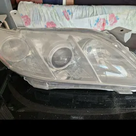 okuz kelle fara 2009