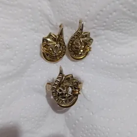 Gyzyl gadym birliyant komplekt