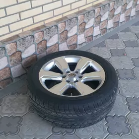 Prado 20 lik diska