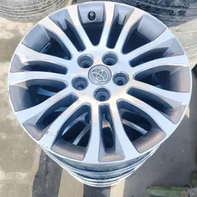 17 lik sienan rodnoy diskasy