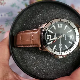 Casio sagat
