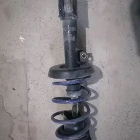 Amatizator purzin seli