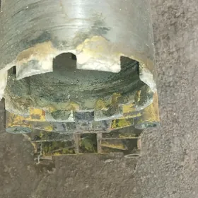 Karot stonok. /biton desyan.