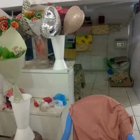 Taýýar işlap duran biznes