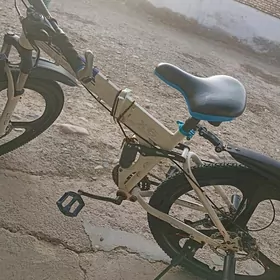 BMW TIGIR