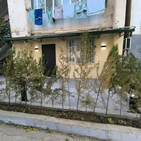 ALISHERA-NAVOI EVROLUX 1эт