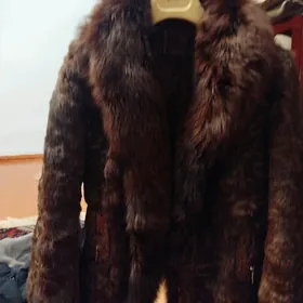 короткий шуба