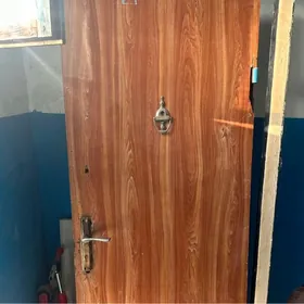 железная дверь