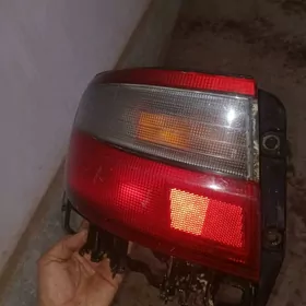 carina e cep tarap stopnik