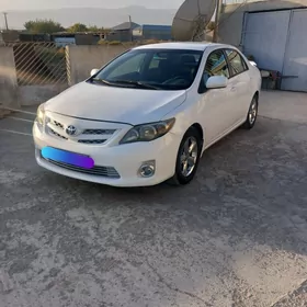 Toyota Corolla 2010