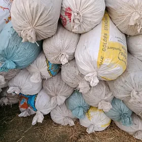 Haltaly üwelen ŷandak