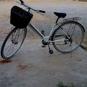 《♤Tigir♤27♤well♤》