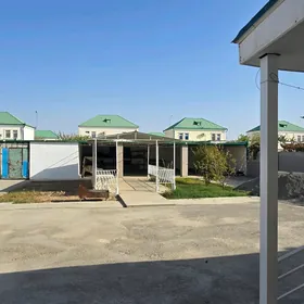 SATLYK ÇOGANLY KOTEZ 5 KOM